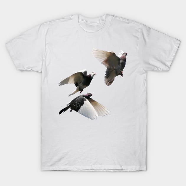 Rock Doves in Flight T-Shirt by stargatedalek